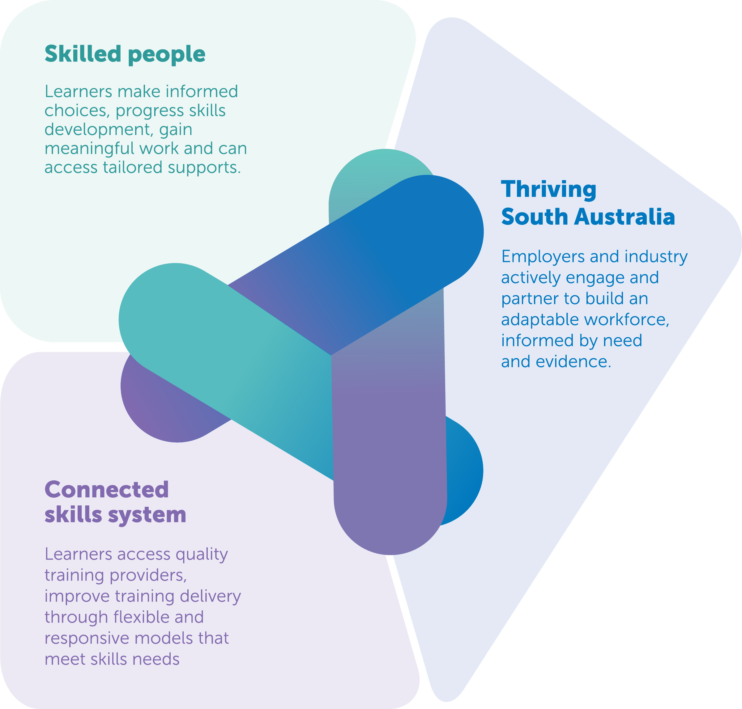Skills Policy areas of focus